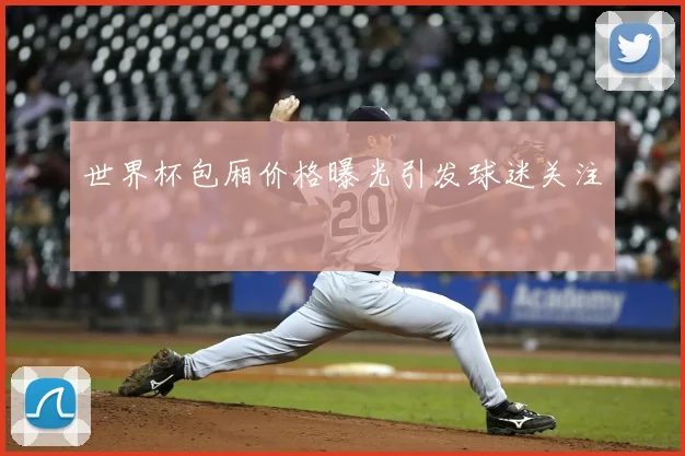 世界杯包厢价格曝光引发球迷关注