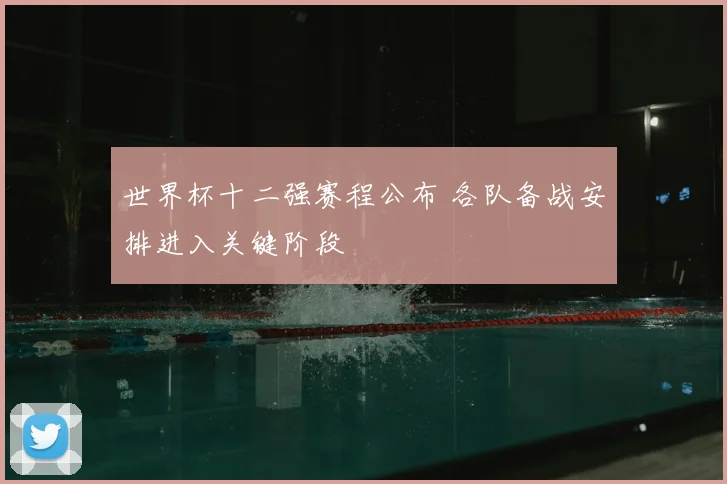 世界杯十二强赛程公布 各队备战安排进入关键阶段