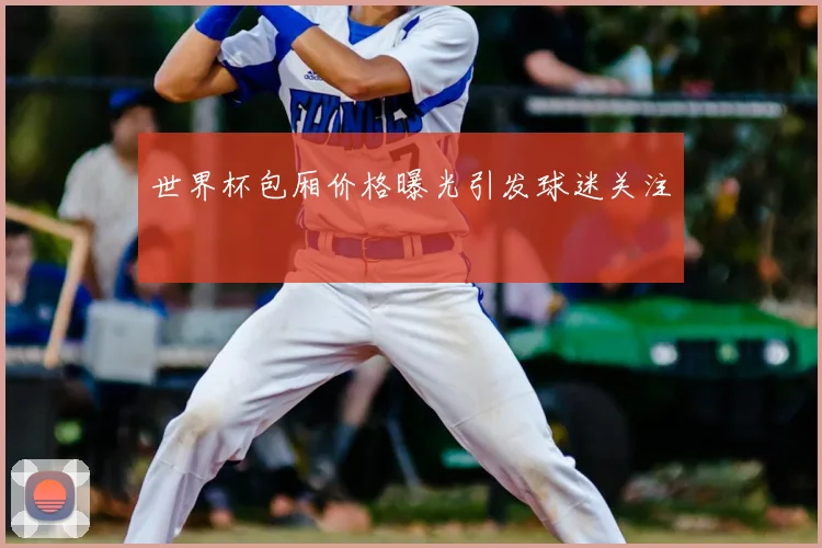 世界杯包厢价格曝光引发球迷关注